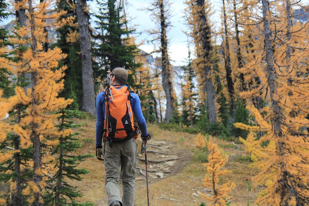 Manning Park Resort Buitenkant foto